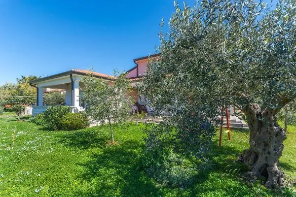 Apartment Liam Novigrad
